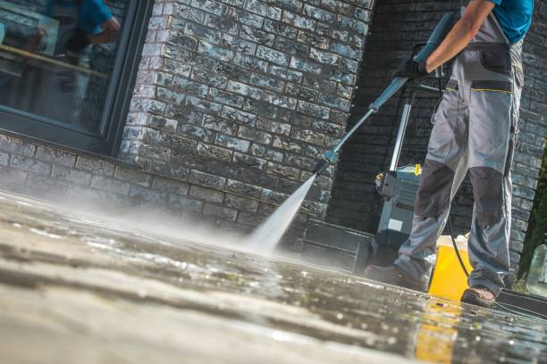 Boat and Dock Cleaning in Newark, NY