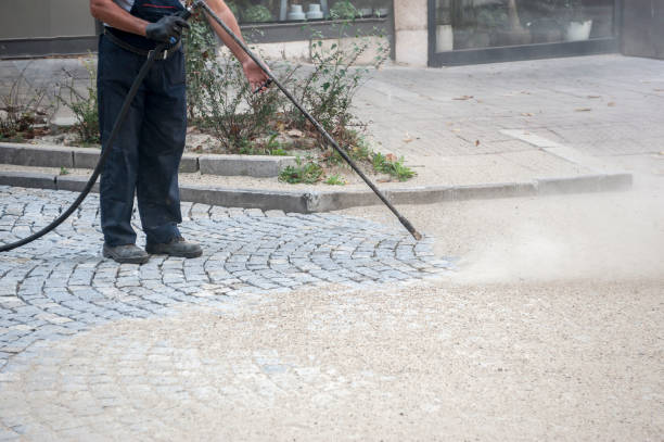 Professional Pressure Washing Services in Newark, NY